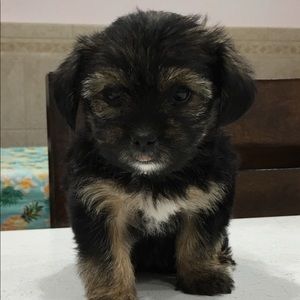 Meet your Posher, Inamae